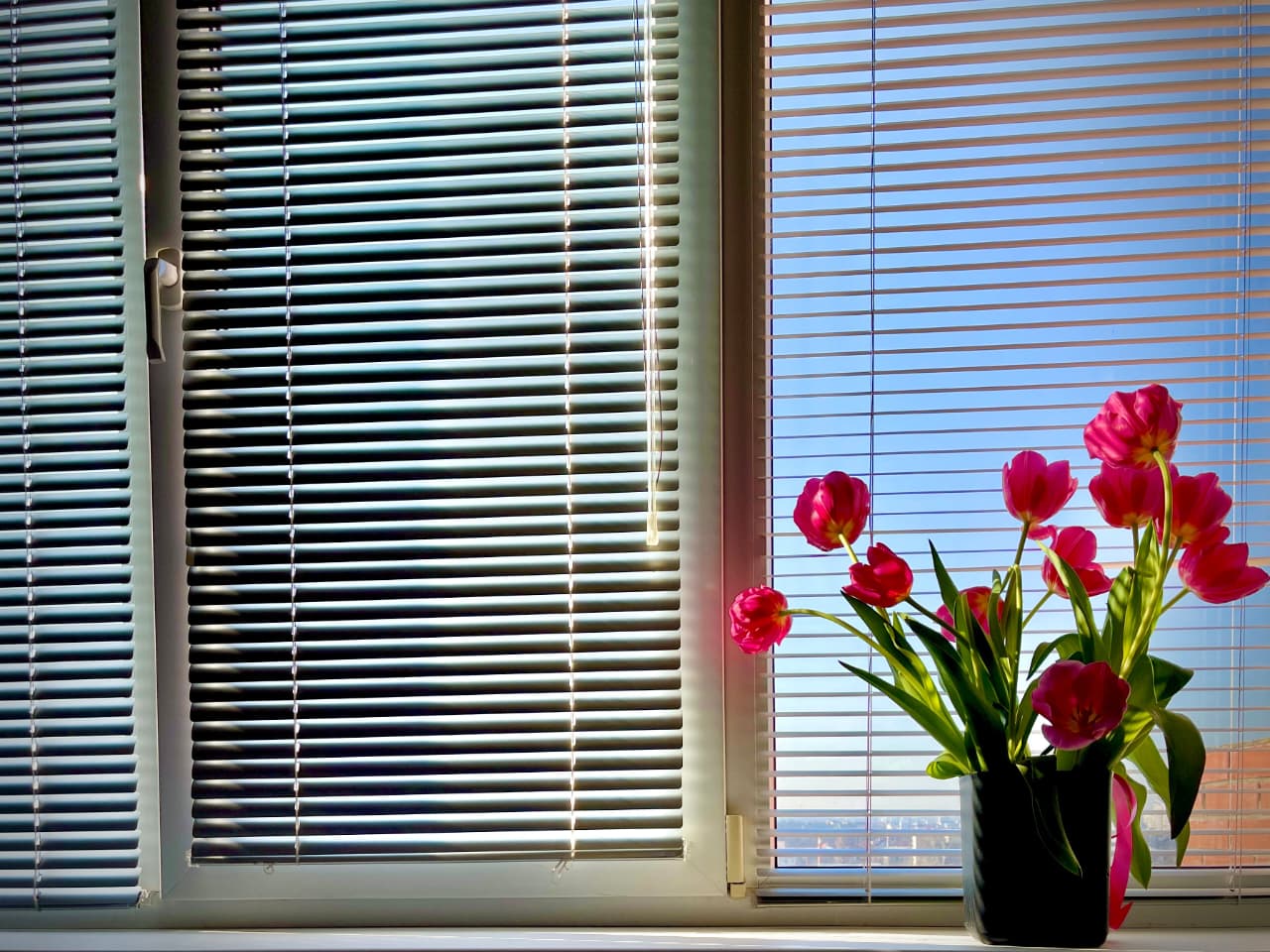 Vertical Fabric Sheer Blinds in Living Room